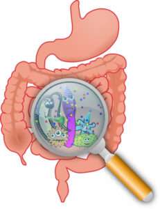 intestinal bacteria