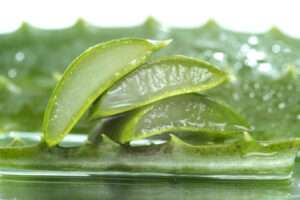 aloe vera