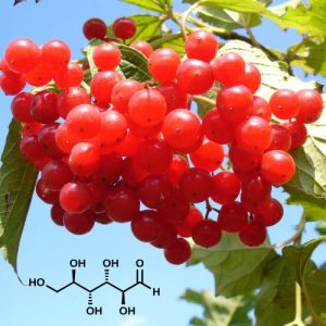 Cranberries